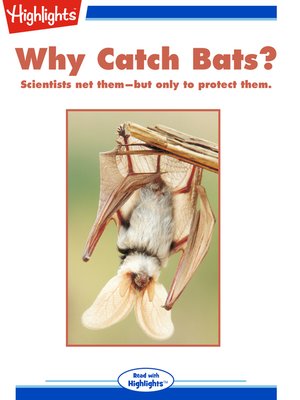 cover image of Why Catch Bats?